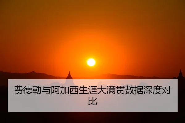 费德勒与阿加西生涯大满贯数据深度对比